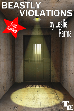 Prison door with overhead light