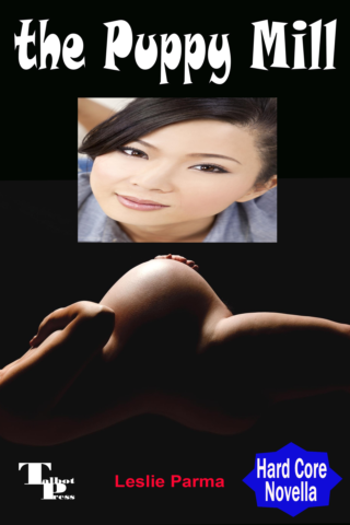 Asian woman and pregnant belly