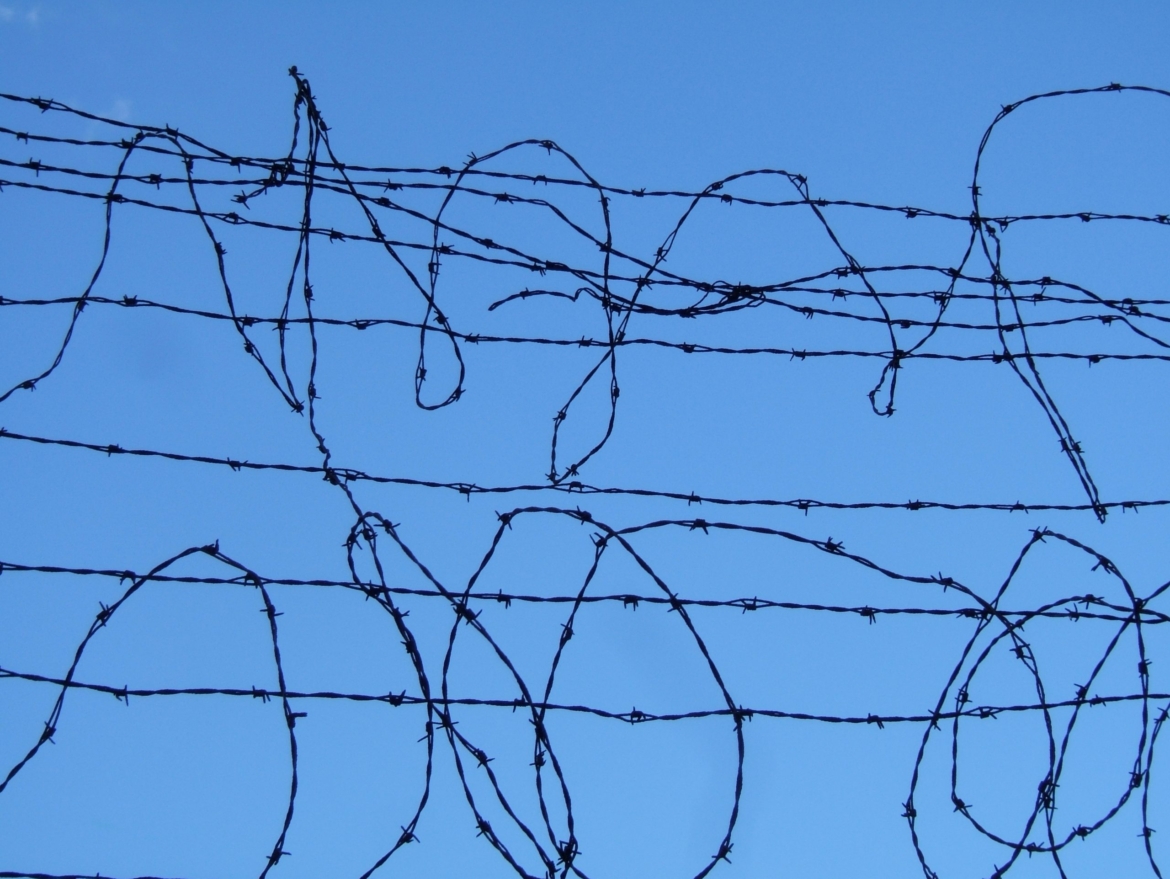 barbed-wire-scaled.jpg