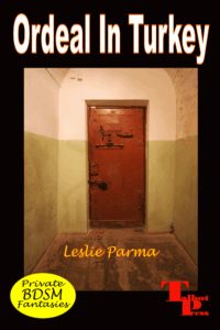 jail door in foreign country